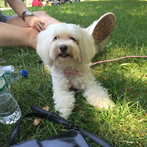 Meet Your Posher, Nancy - Picture 6 of 8